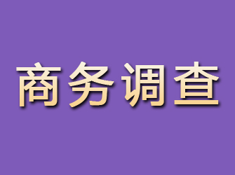 海西商务调查